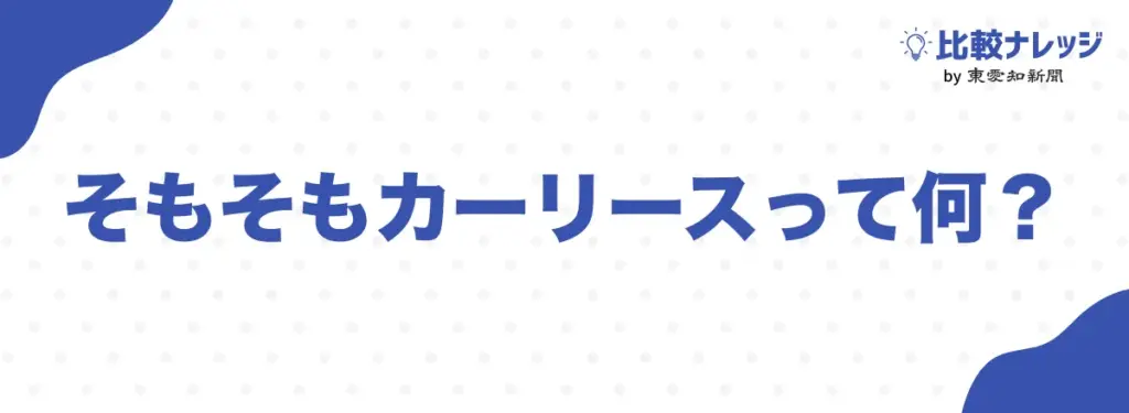 そもそもカーリースって何?
