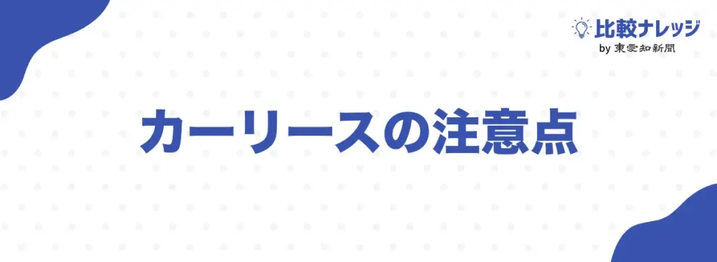 カーリースの注意点